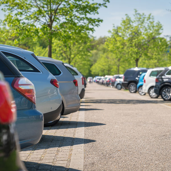 cars parked in a lot with green trees